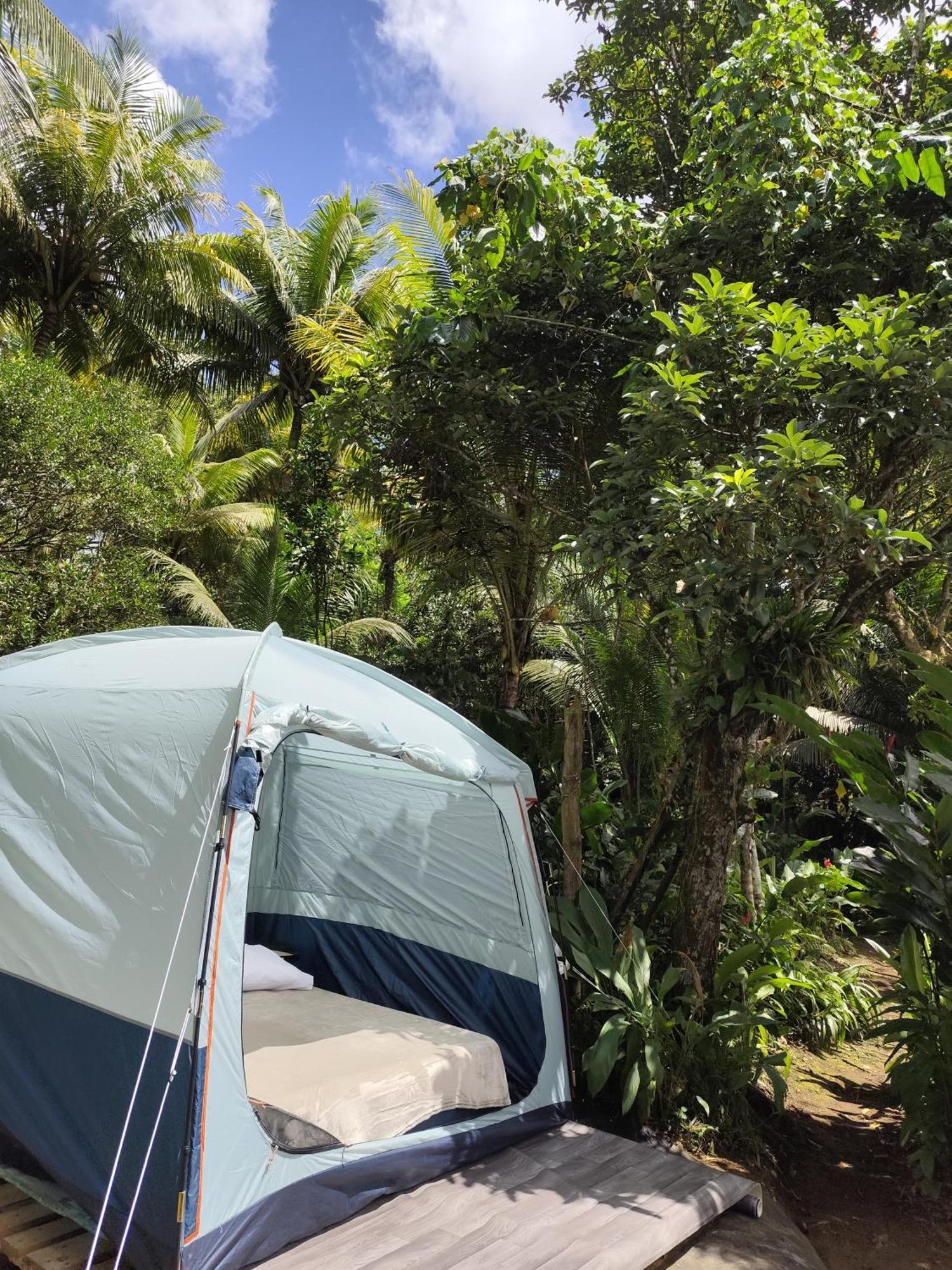 Camping A La Ferme Gros-Morne Buitenkant foto