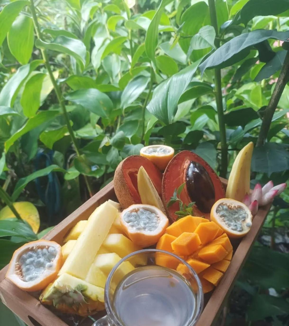 Camping A La Ferme Gros-Morne Buitenkant foto